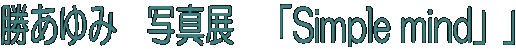 ������݁@�ʐ^�W�@�uSimple mind�v�v 