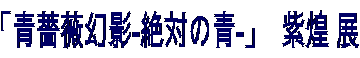 「青薔薇幻影-絶対の青-」 紫煌 展